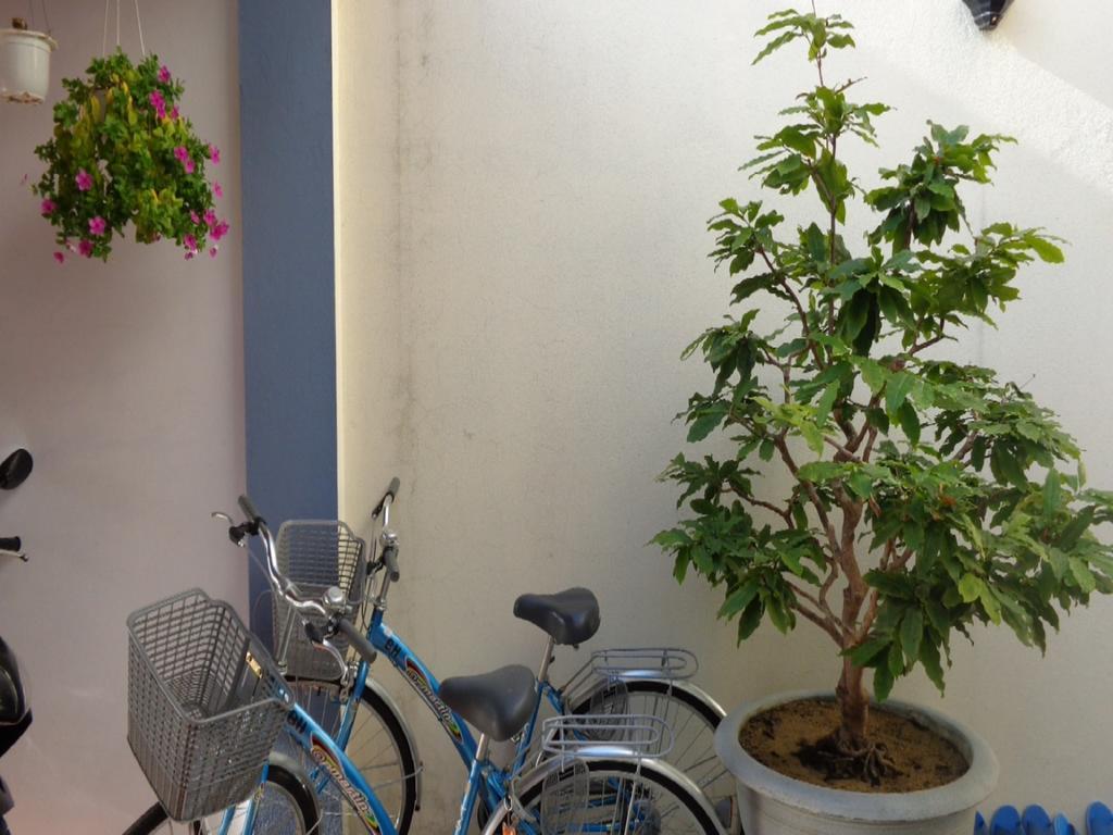 Banana Homestay Χόι Αν Εξωτερικό φωτογραφία